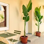 Apartamento The Secret Yard